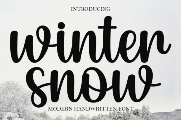 Winter Snow: A Modern Script for Cozy Seasonal Design